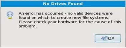 no valid devices were found on which to create new file systems.