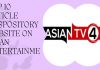 Top 10 Article Repository Websites On Asian Entertainment