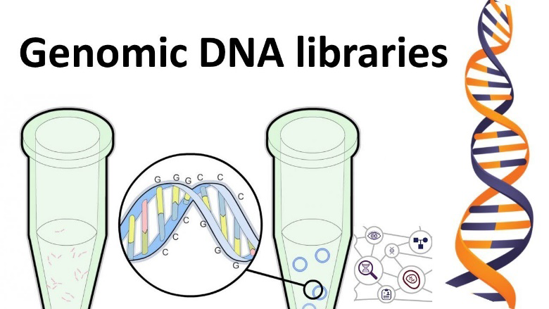An Overview Of DNA Encoded Library Technology - Techyv.com