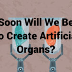 How Soon Will We Be Able To Create Artificial Organs?