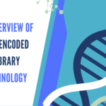 An Overview Of DNA Encoded Library Technology
