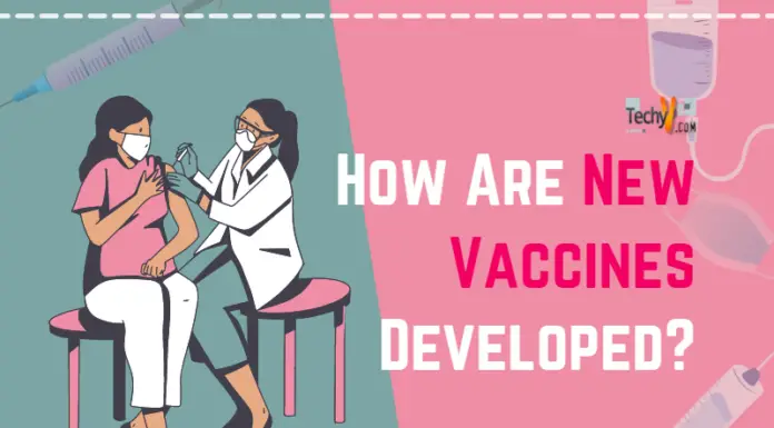 How Are New Vaccines Developed?