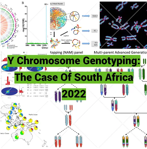 Y Chromosome Genotyping: The Case Of South Africa 2022