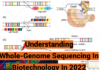 Understanding Whole-Genome Sequencing In Biotechnology In 2022