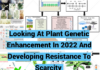 Looking At Plant Genetic Enhancement In 2022 And Developing Resistance To Scarcity