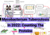 Mycobacterium Tuberculosis In 2022: Counting The Proteins