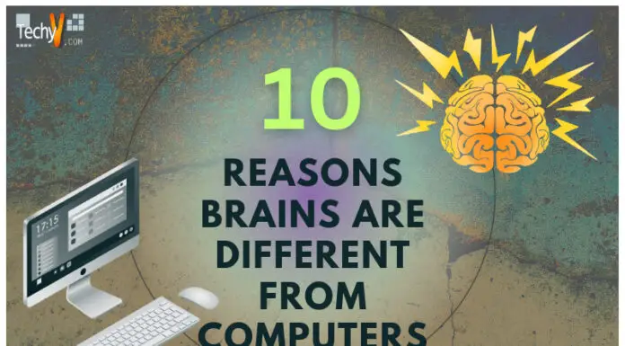 Ten Reasons Brains Are Different From Computers