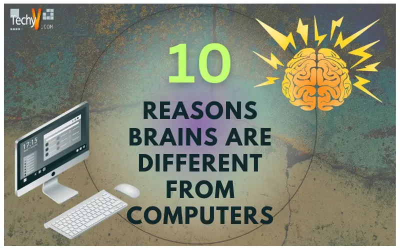 Ten Reasons Brains Are Different From Computers