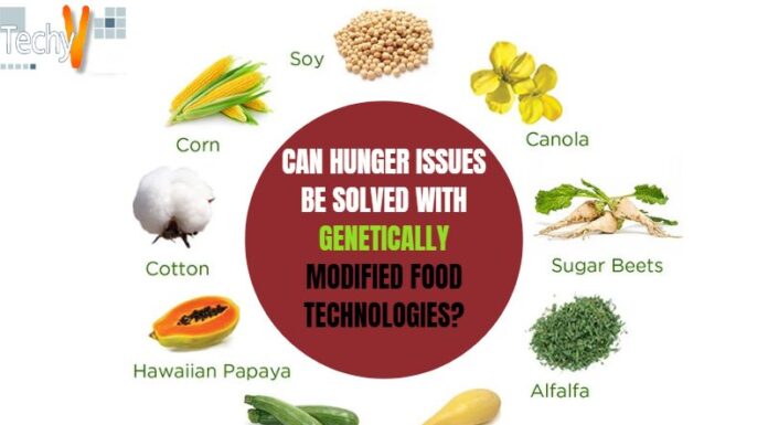 Can Hunger Issues Be Solved With Genetically Modified Food Technologies?