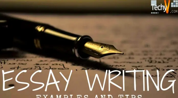 Essay Writing – Examples And Tips