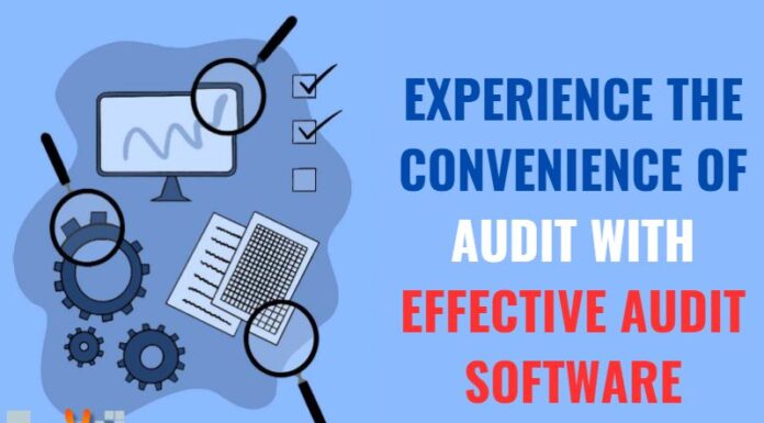 Experience The Convenience Of Audit With Effective Audit Software