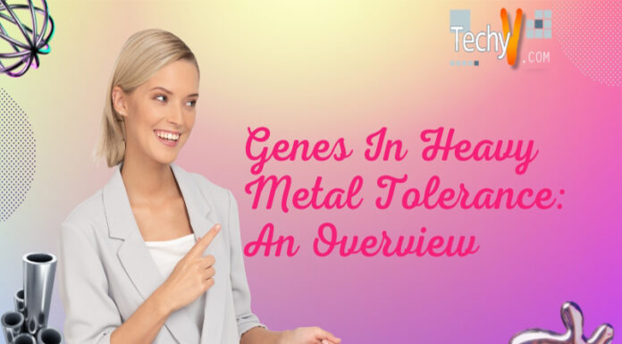 Genes In Heavy Metal Tolerance: An Overview