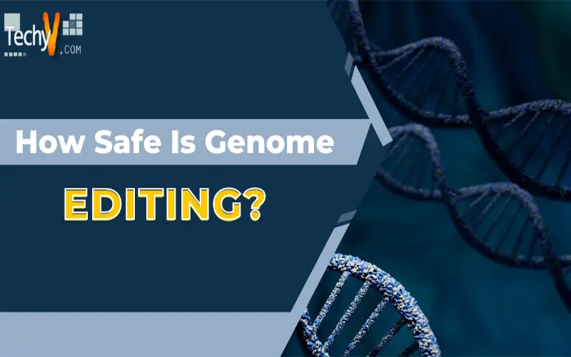 How Safe Is Genome Editing?