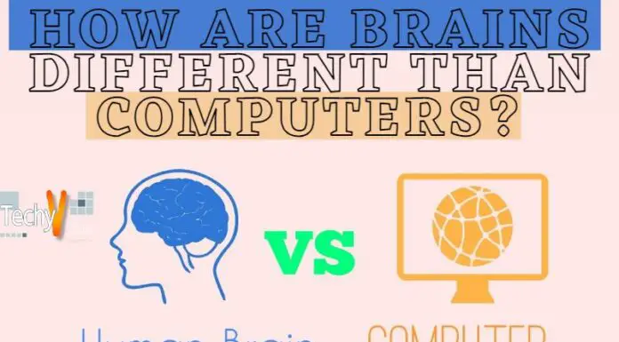 How Are Brains Different Than Computers?