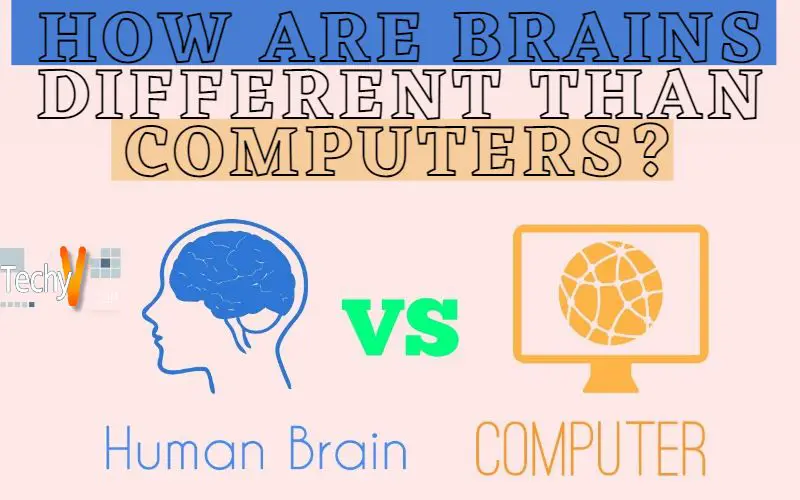 How Are Brains Different Than Computers?