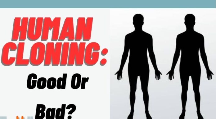 Human Cloning: Good Or Bad?