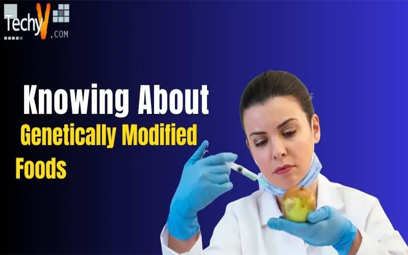 Knowing About Genetically Modified Foods