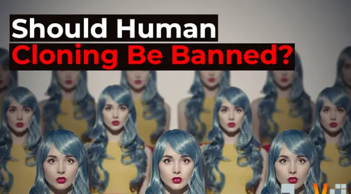 Should Human Cloning Be Banned?