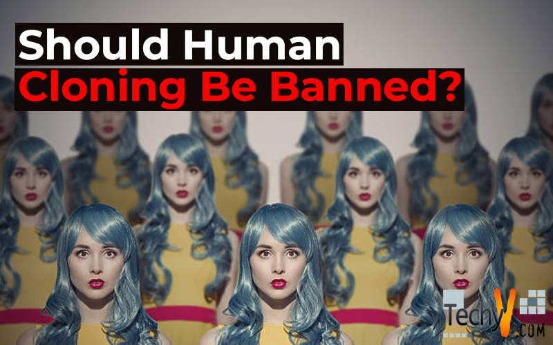 Should Human Cloning Be Banned?
