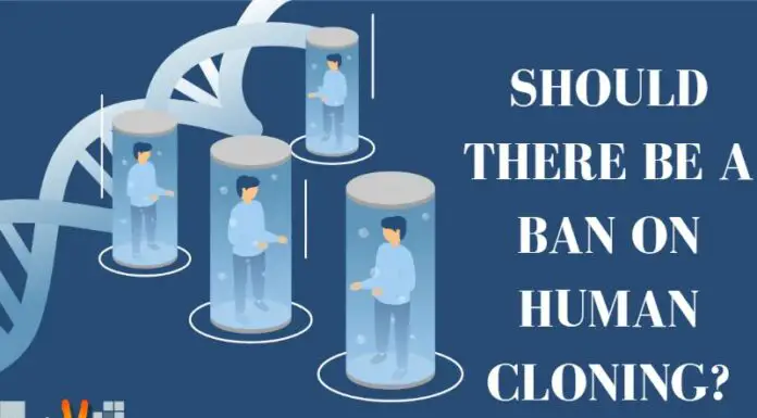 Should There Be A Ban On Human Cloning?