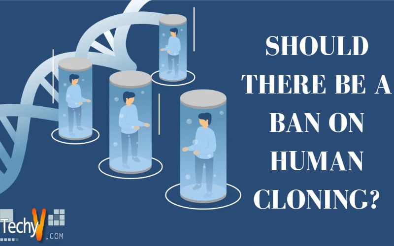 Should There Be A Ban On Human Cloning?