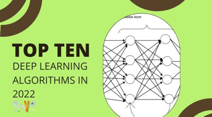 Top 10 Deep Learning Algorithms In 2022