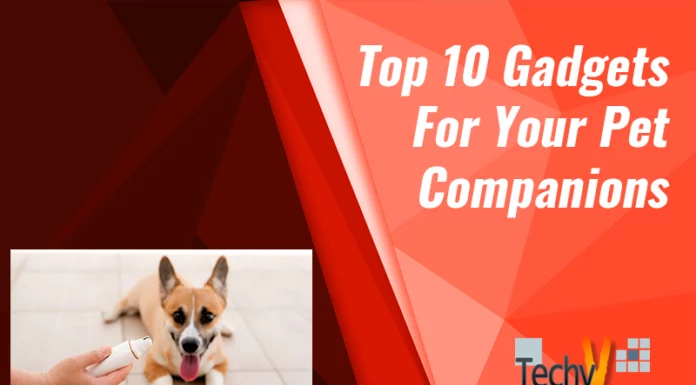 Top 10 Gadgets For Your Pet Companions