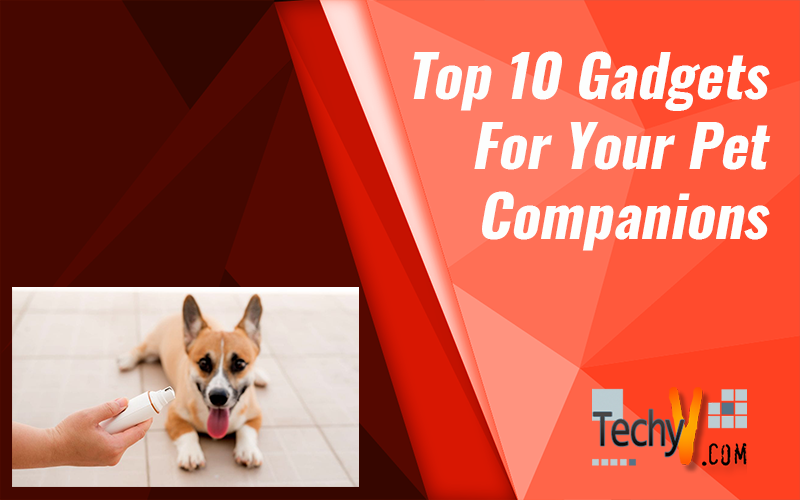 Top 10 Gadgets For Your Pet Companions