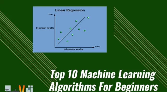 Top 10 Machine Learning Algorithms For Beginners