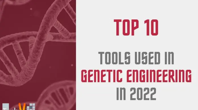 Top 10 Tools Used In Genetic Engineering In 2022