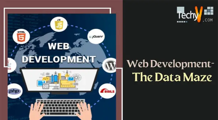 Web Development- The Data Maze