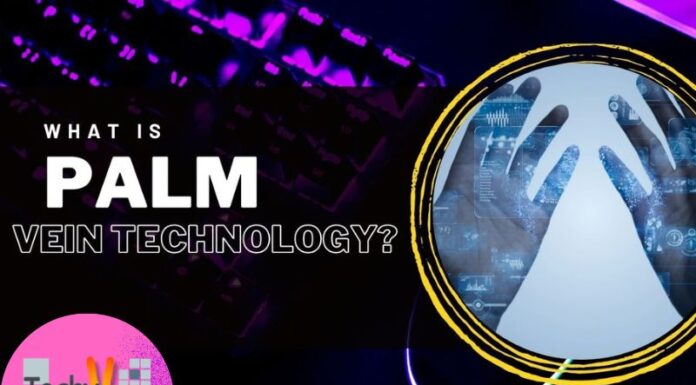 What Is Palm Vein Technology?