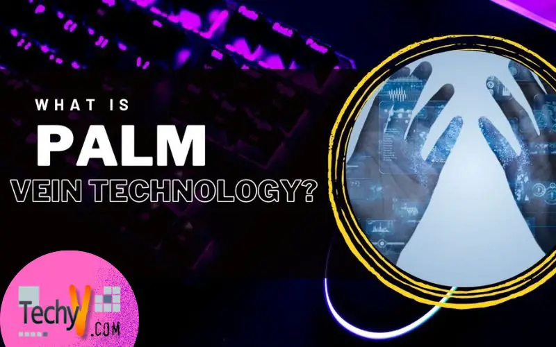 What Is Palm Vein Technology?