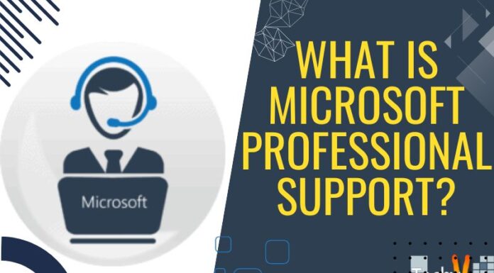What is Microsoft Professional Support?