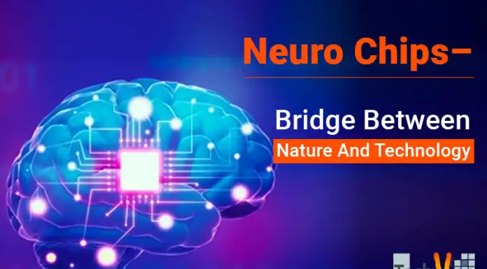 Neuro Chips– Bridge Between Nature And Technology