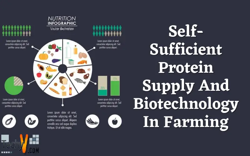 SelfSufficient Protein Supply And Biotechnology In Farming