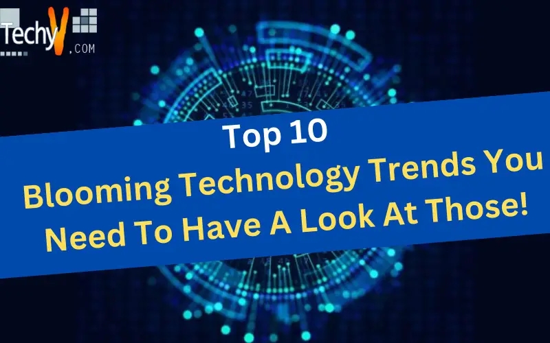Top 10 Blooming Technology Trends You Need To Have A Look At Those!