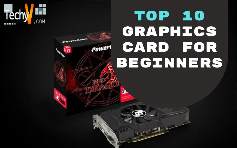 Top 10 Graphics Card For Beginners