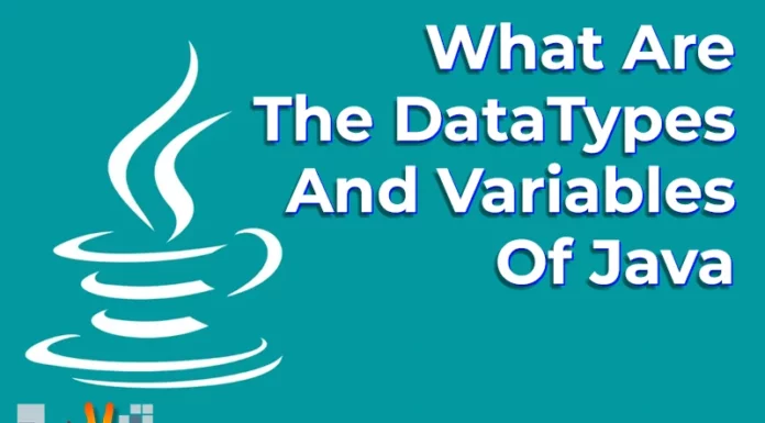 What Are The DataTypes And Variables Of Java