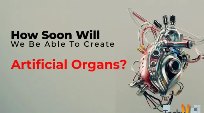How Soon Will We Be Able To Create Artificial Organs?
