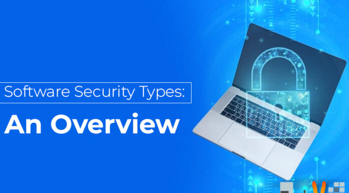 Software Security Types: An Overview