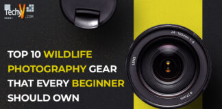 Top 10 wildlife photography gear that every beginner should own