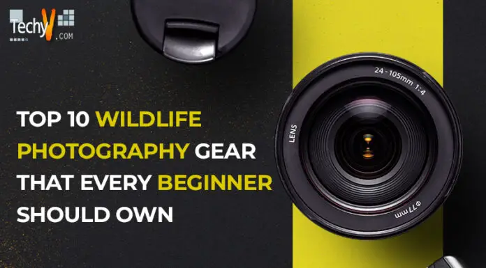 Top 10 Wildlife Photography Gear That Every Beginner Should Own