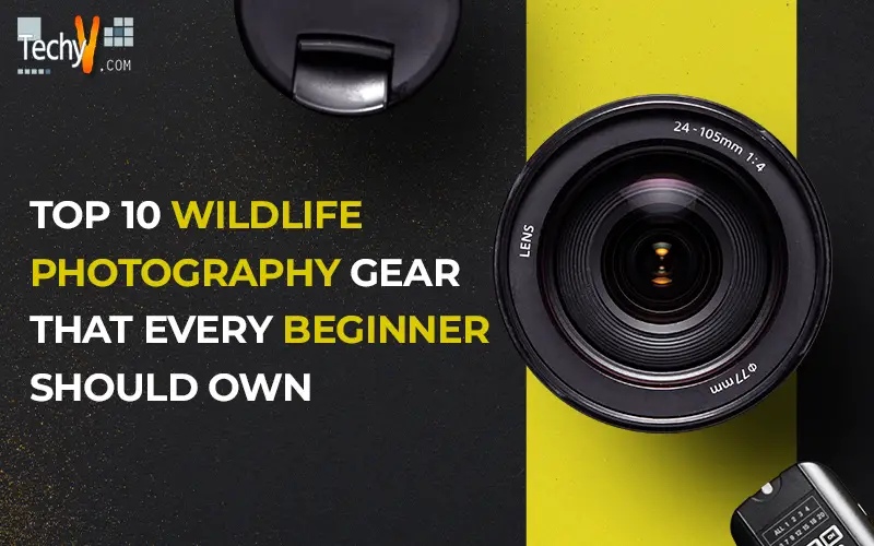 Top 10 Wildlife Photography Gear That Every Beginner Should Own