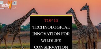 Top 10 technological innovation for wildlife conservation