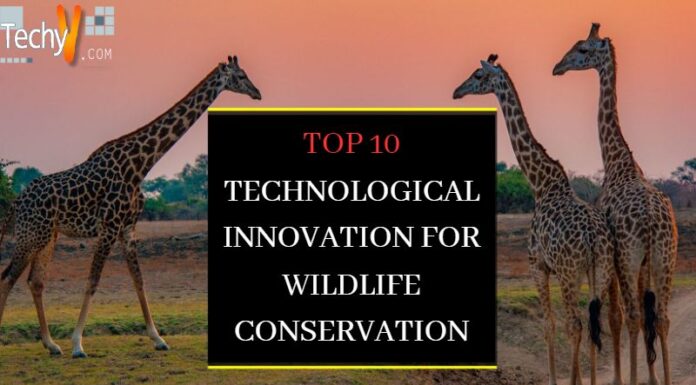 Top 10 Technological Innovation For Wildlife Conservation