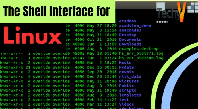 The Shell Interface for Linux