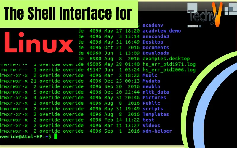 The Shell Interface for Linux