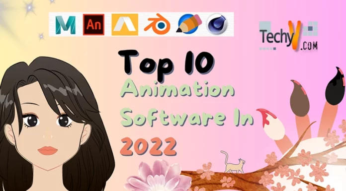 Top 10 Animation Software In 2022