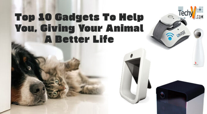 Top 10 Gadgets To Help You, Giving Your Animal A Better Life